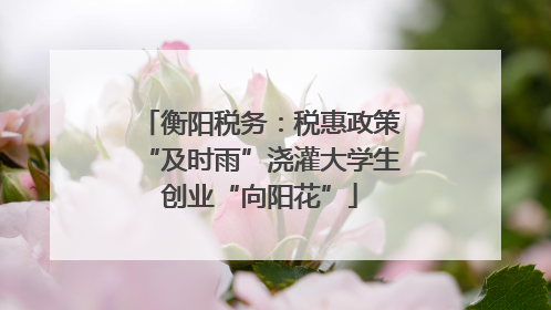 衡阳税务：税惠政策“及时雨”浇灌大学生创业“向阳花”