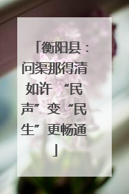 衡阳县：问渠那得清如许 “民声”变“民生”更畅通