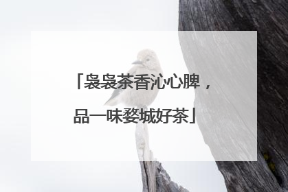 袅袅茶香沁心脾，品一味婺城好茶