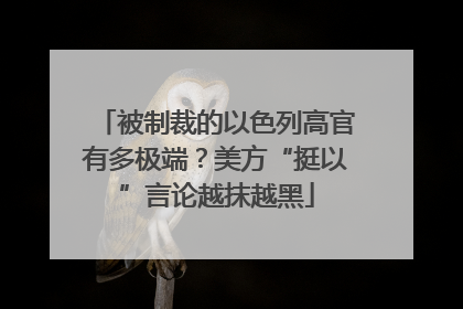 被制裁的以色列高官有多极端？美方“挺以”言论越抹越黑
