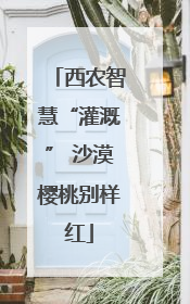 西农智慧“灌溉” 沙漠樱桃别样红