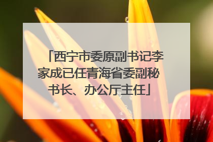 西宁市委原副书记李家成已任青海省委副秘书长、办公厅主任