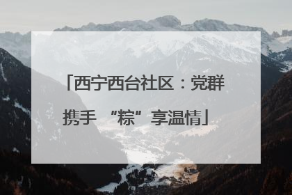 西宁西台社区：党群携手 “粽”享温情