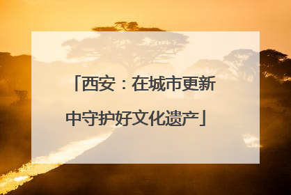 西安：在城市更新中守护好文化遗产