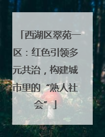 西湖区翠苑一区：红色引领多元共治，构建城市里的“熟人社会”