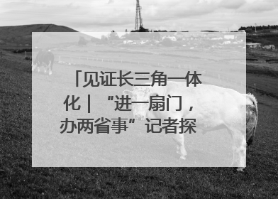 见证长三角一体化｜“进一扇门，办两省事”记者探访苏皖“两省一街”警务室