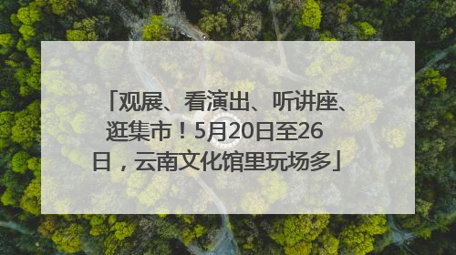 观展、看演出、听讲座、逛集市！5月20日至26日，云南文化馆里玩场多