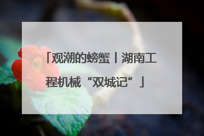 观潮的螃蟹丨湖南工程机械“双城记”