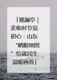 观澜亭｜麦收时节见初心：山东“晒粮地图”绘就民生温暖画卷