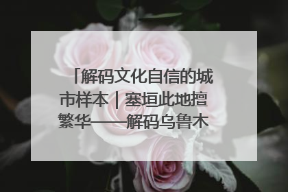 解码文化自信的城市样本｜塞垣此地擅繁华——解码乌鲁木齐的文化自信样本