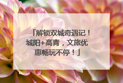 解锁双城奇遇记！城阳+高青，文旅优惠畅玩不停！