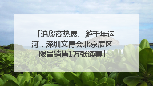 追殷商热展、游千年运河，深圳文博会北京展区限量销售1万张通票