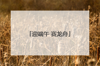 迎端午 赛龙舟