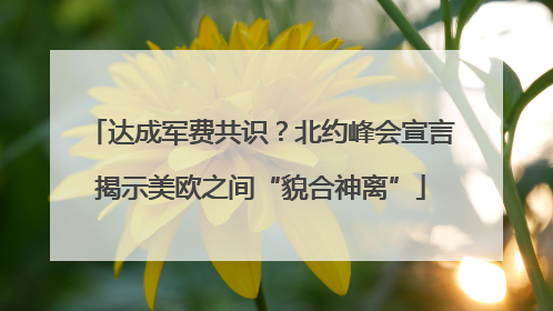 达成军费共识？北约峰会宣言揭示美欧之间“貌合神离”