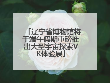 辽宁省博物馆将于端午假期重磅推出大型宇宙探索VR体验展