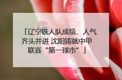 辽宁铁人队成绩、人气齐头并进 沈阳铸就中甲联赛“第一球市”