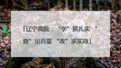 辽宁高院：“学”抓扎实 “查”见真章 “改”求实效