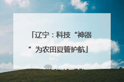 辽宁：科技“神器”为农田夏管护航