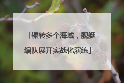 辗转多个海域，舰艇编队展开实战化演练