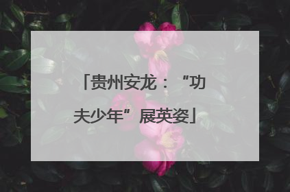 贵州安龙：“功夫少年”展英姿