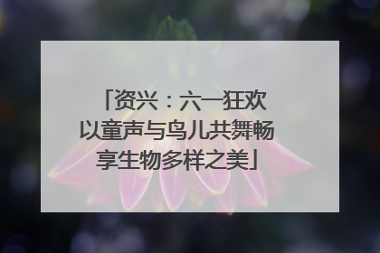 资兴：六一狂欢 以童声与鸟儿共舞畅享生物多样之美