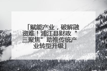 赋能产业，破解融资难！浦江县财政“三聚焦”助推传统产业转型升级