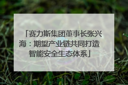 赛力斯集团董事长张兴海：期望产业链共同打造智能安全生态体系