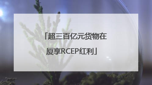 超三百亿元货物在厦享RCEP红利