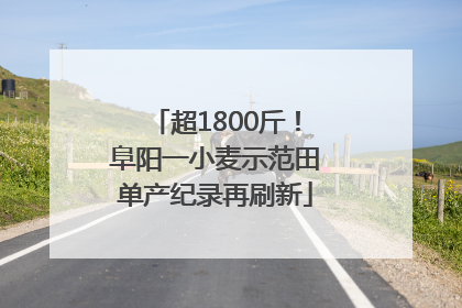 超1800斤！阜阳一小麦示范田单产纪录再刷新