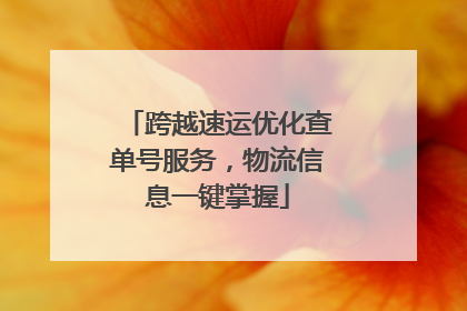 跨越速运优化查单号服务，物流信息一键掌握