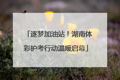 逐梦加油站！湖南体彩护考行动温暖启幕
