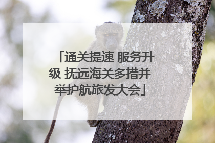 通关提速 服务升级 抚远海关多措并举护航旅发大会
