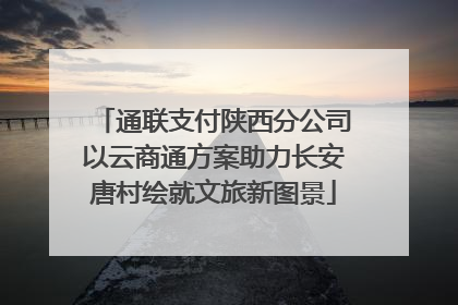 通联支付陕西分公司以云商通方案助力长安唐村绘就文旅新图景