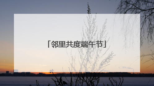 邻里共度端午节