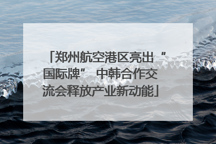 郑州航空港区亮出“国际牌” 中韩合作交流会释放产业新动能