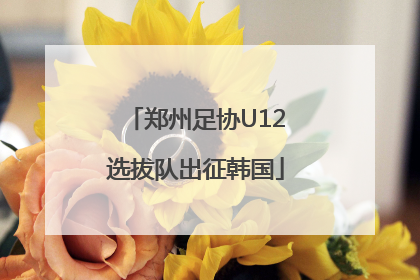 郑州足协U12选拔队出征韩国