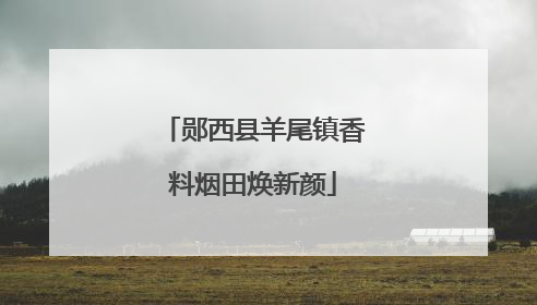 郧西县羊尾镇香料烟田焕新颜