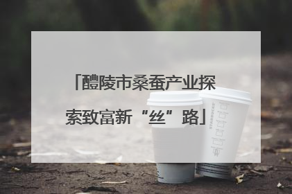 醴陵市桑蚕产业探索致富新“丝”路