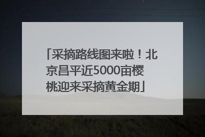 采摘路线图来啦！北京昌平近5000亩樱桃迎来采摘黄金期