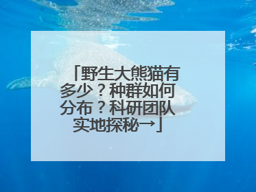 野生大熊猫有多少？种群如何分布？科研团队实地探秘→