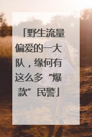 野生流量偏爱的一大队，缘何有这么多“爆款”民警