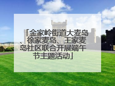 金家岭街道大麦岛、徐家麦岛、王家麦岛社区联合开展端午节主题活动