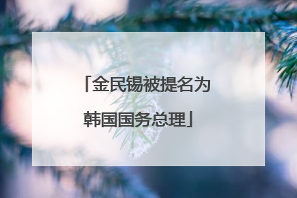 金民锡被提名为韩国国务总理