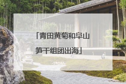 青田黄菊和阜山笋干组团出海
