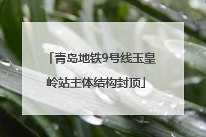 青岛地铁9号线玉皇岭站主体结构封顶