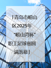 青岛市崂山区2025年“崂山湾杯”职工足球赛圆满落幕