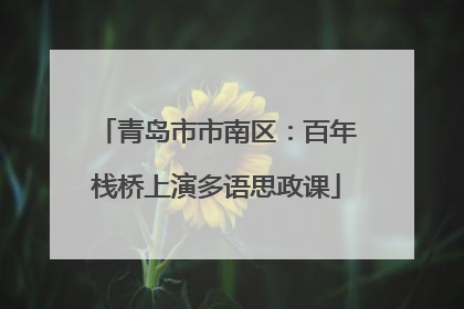 青岛市市南区：百年栈桥上演多语思政课