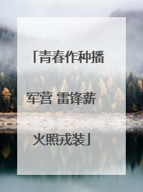 青春作种播军营 雷锋薪火照戎装