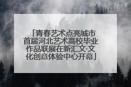 青春艺术点亮城市 首届河北艺术高校毕业作品联展在新汇文·文化创意体验中心开幕