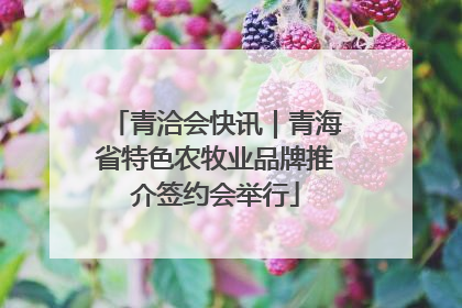 青洽会快讯｜青海省特色农牧业品牌推介签约会举行